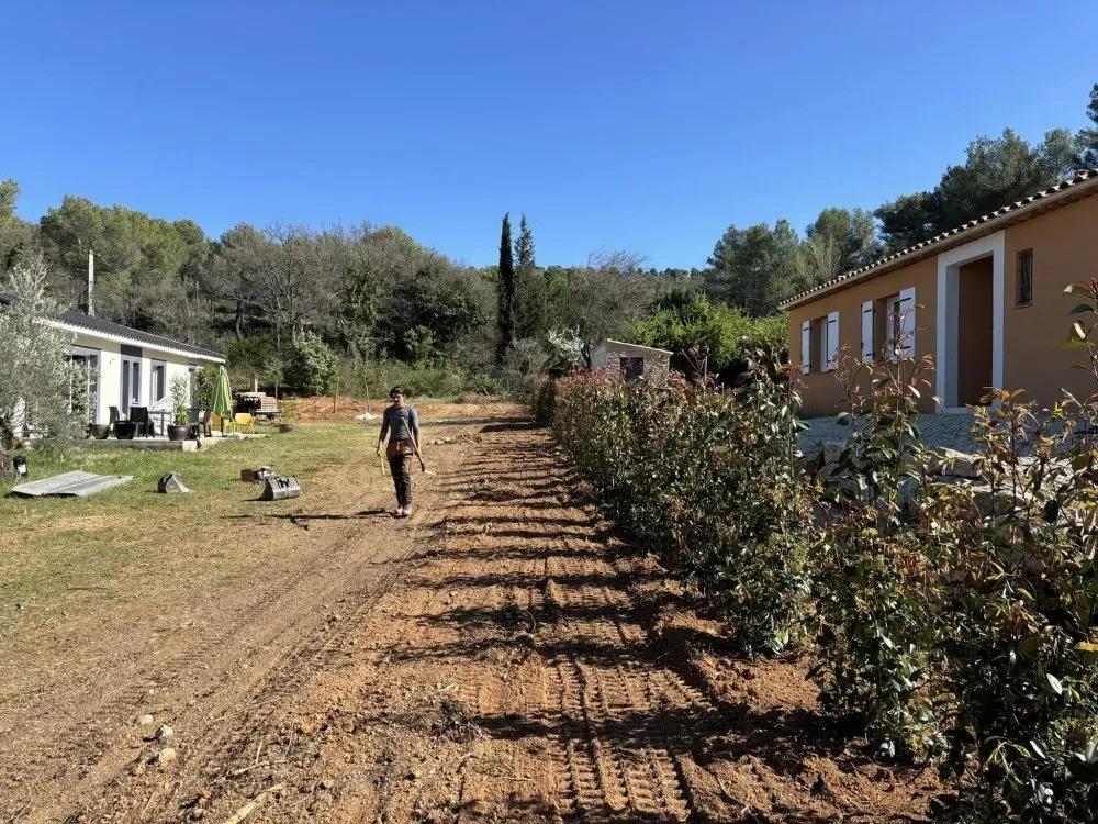taille cyprès à Pertuis