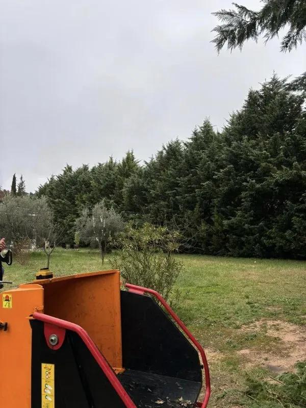 abattage-haie-8